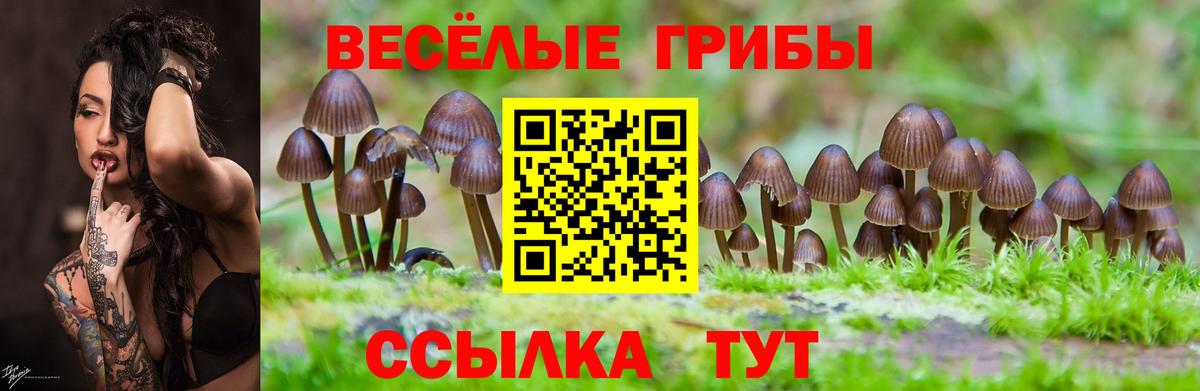Псилоцибиновые грибы MAGIC MUSHROOMS Обнинск